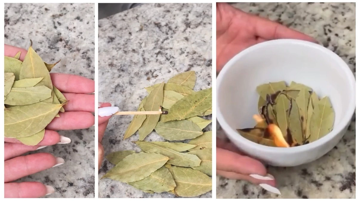 4 daty w marcu, kiedy spalenie liścia laurowego może odmienić Twoje życie