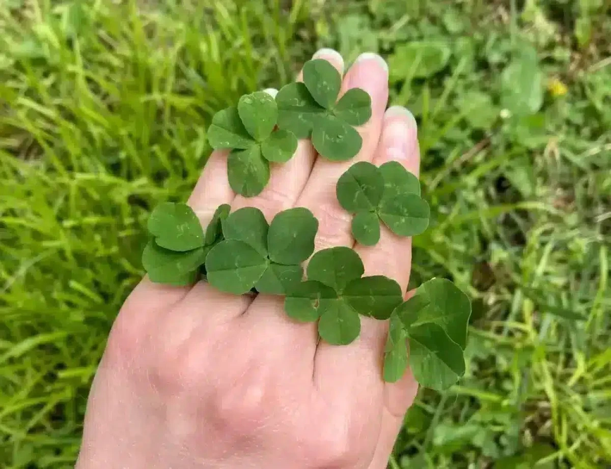 7 znaków zodiaku na progu niebiańskiego błogosławieństwa: Nieoczekiwane szczęście w tym tygodniu