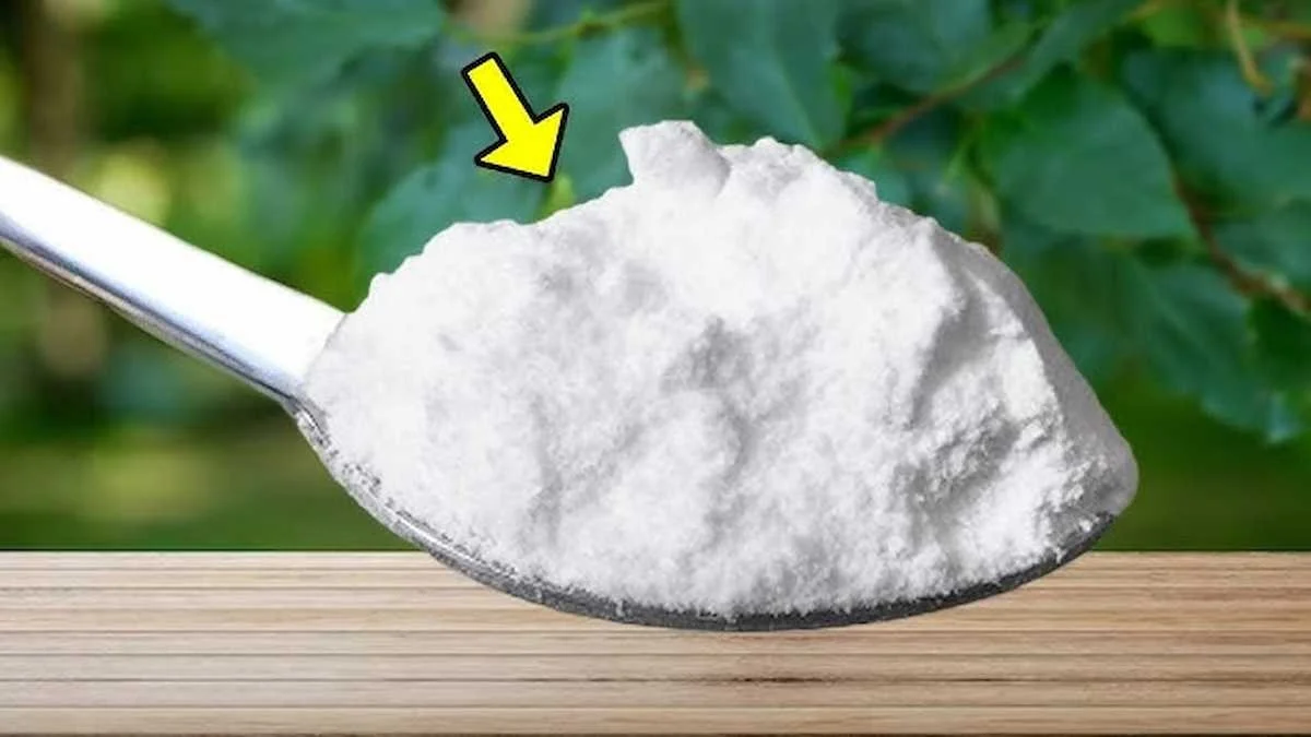 Szokujące zastosowanie sody oczyszczonej – to, co robią z nią sportowcy, zaskoczy Cię