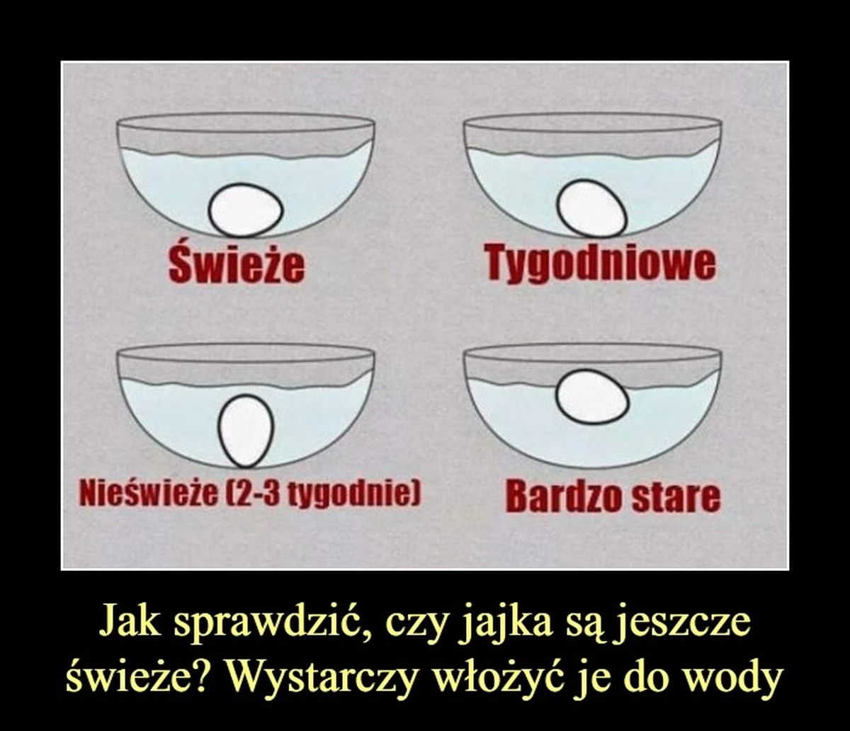 jaksprawdzicczy-extra-1.webp Jak sprawdzić, czy jajka są świeże, zanurzając je w wodzie: pływa? Ma ponad 3 tygodnie! - image 1