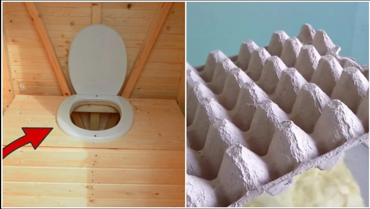 Kartonowe wytłoczki po jajkach i ocet: sposób na pozbycie się smrodu w letniej toalecie na dobre