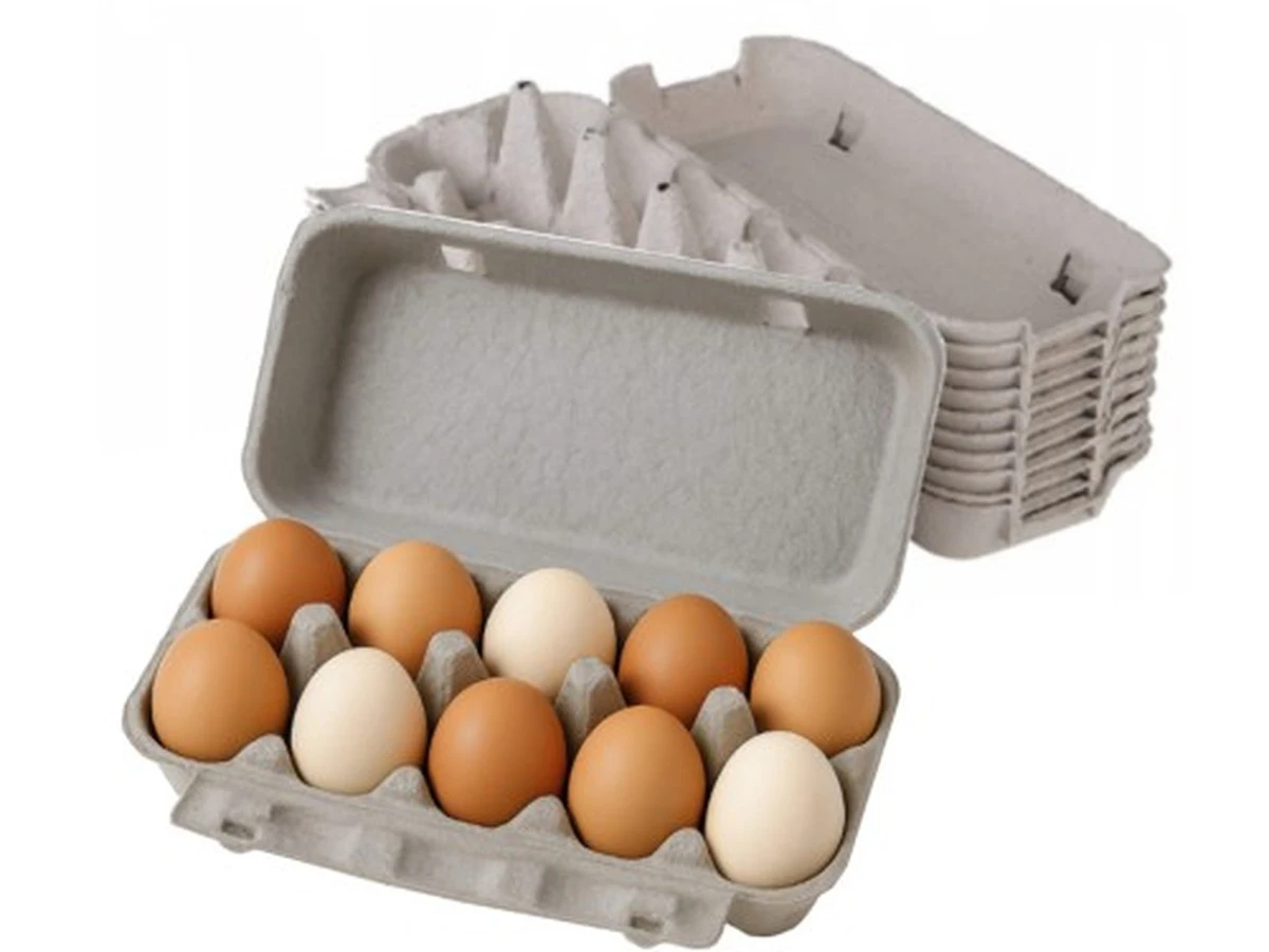 tacapojajkachto-extra-1.webp Taca po jajkach to nie śmieć, lecz złoto. Zaskakujące zastosowanie, które pokochało nawet teściową - image 1