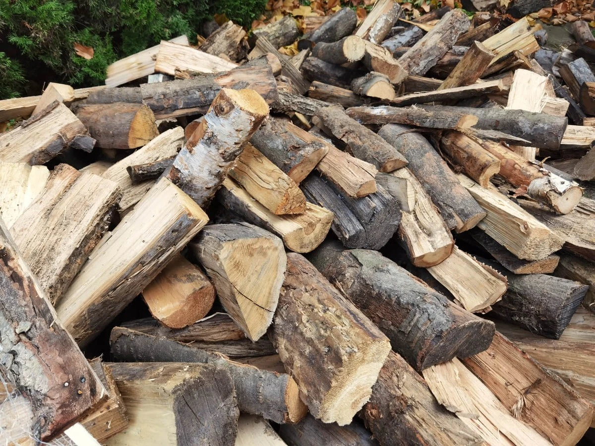 Poznaj sekret sąsiada: jak suszyć drewno opałowe, by paliło się dłużej i dawało więcej ciepła - image 1