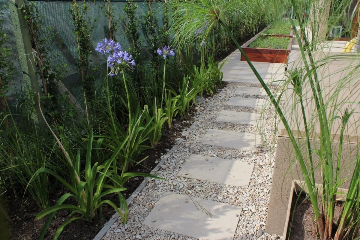 Trzy sprawdzone sposoby na chwasty między kamieniami – tani i skuteczny trik ogrodniczy