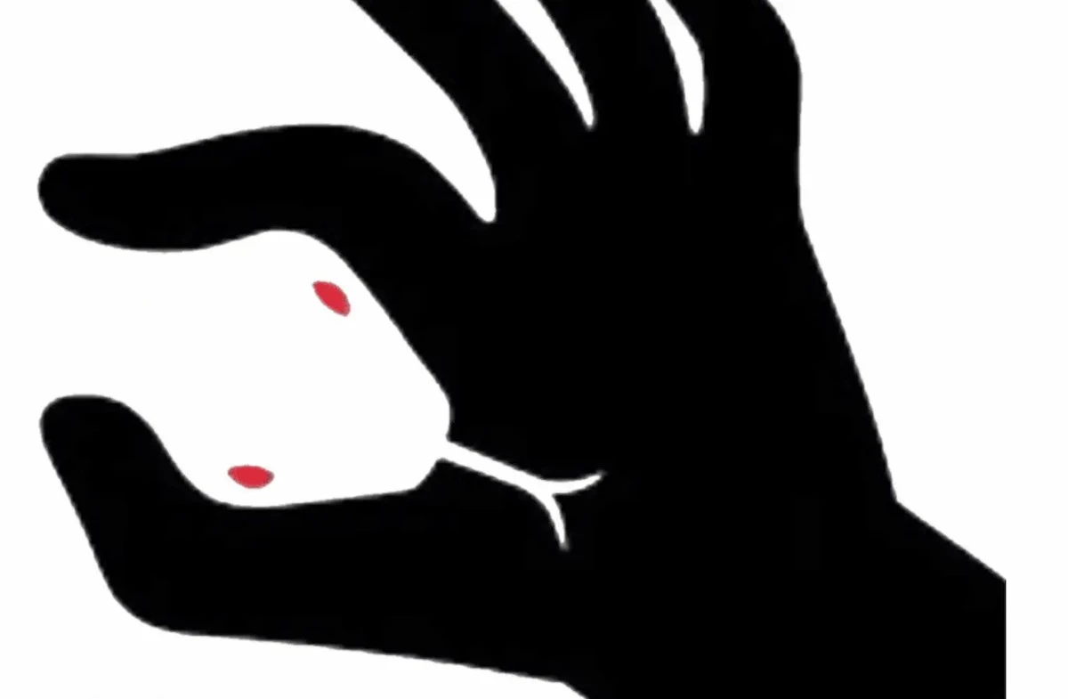 Czarna dłoń czy wąż? Ten jeden obrazek zdradza Twój sposób myślenia w mgnieniu oka