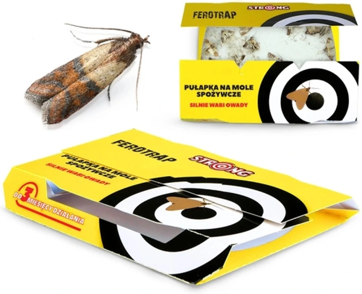 Koniec z molami spożywczymi: 4 goździki w szafce i te natrętne szkodniki zniknęły z mojej kuchni na zawsze - image 1