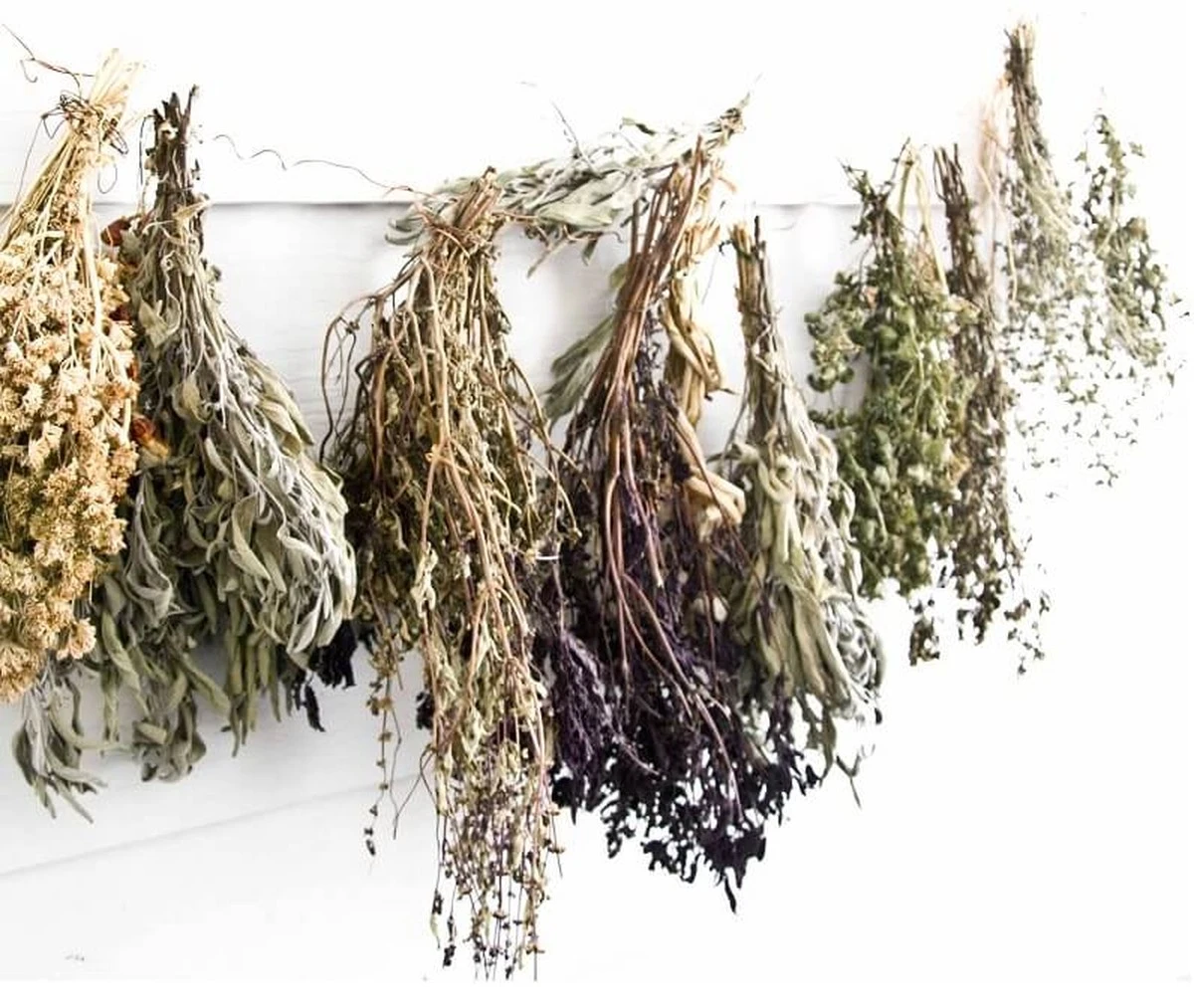 jaksuszyczioaby-extra-1.webp Jak suszyć zioła, by zachowały pełnię smaku lata przez cały rok - image 1