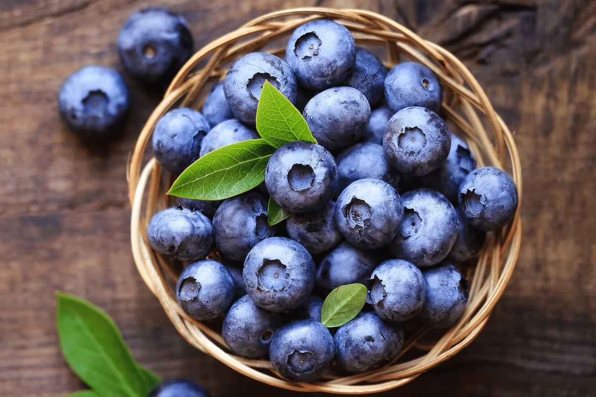 dlaczegowartoje-extra-1.webp Dlaczego warto jeść borówki każdego dnia? Poznaj niezwykłe efekty dla Twojego ciała - image 1