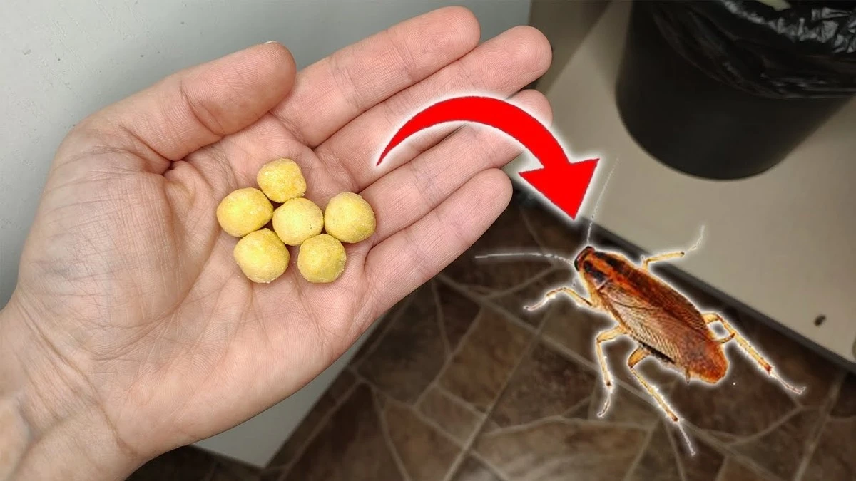 Zapomnij o chemii. Ten domowy zapach natychmiast odstrasza karaluchy