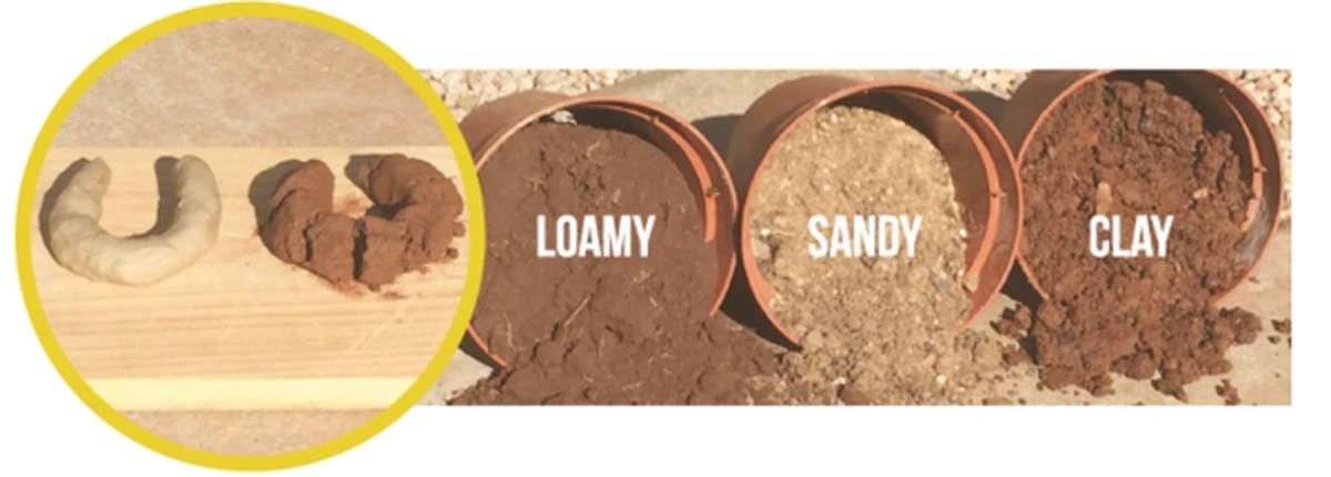 Wrzuciłam kawałek kiełbasy do szklanki z wodą i już nigdy nie kupię tej marki: 3 minuty i prawda o składzie na wierzchu - image 1