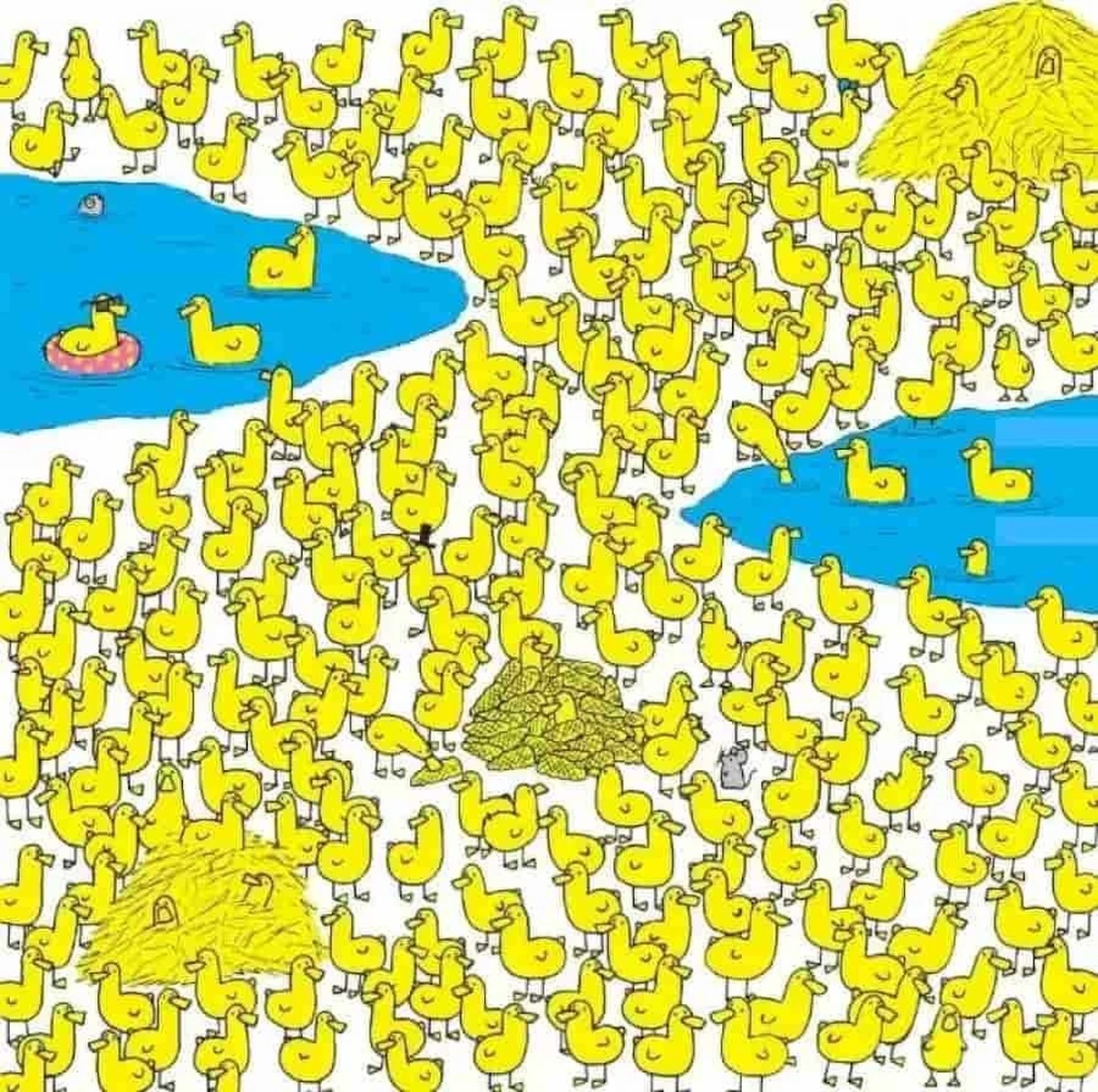 Czy potrafisz znaleźć kurczaka wśród kaczek w 15 sekund? Internet jest podzielony