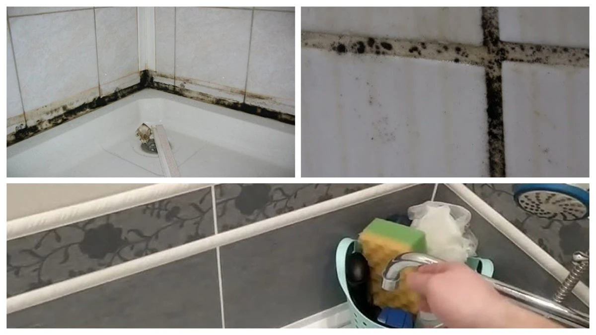 Czarny grzyb na fugach i w kabinie prysznicowej? Zapomniałam o problemie, gdy odkryłam tę jedną rzecz. Działa inaczej!