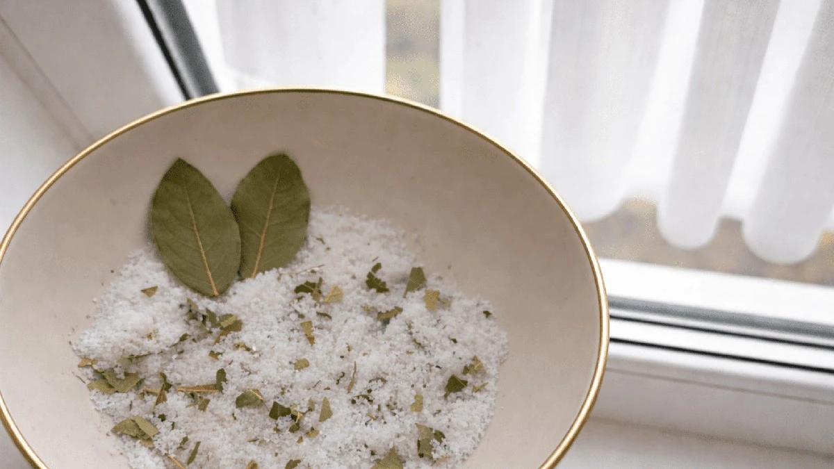 Moje odkrycie roku: miseczka soli z wawrzynem na parapecie działa cuda z oknami