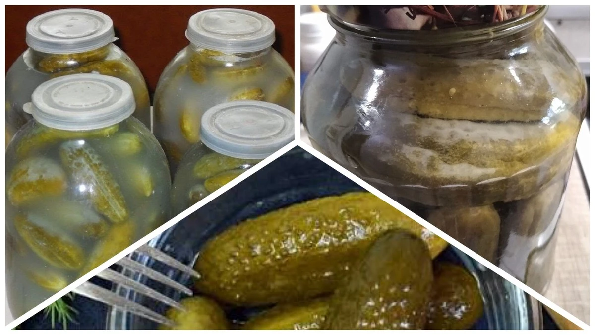 58-latka spędziła życie w kuchni i wie wszystko o ogórkach: czy można jeść te z białym nalotem?