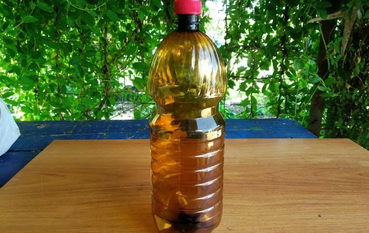 Gdy woda przestaje spływać: hydraulik zdradza trik z plastikową butelką, który działa lepiej niż soda.