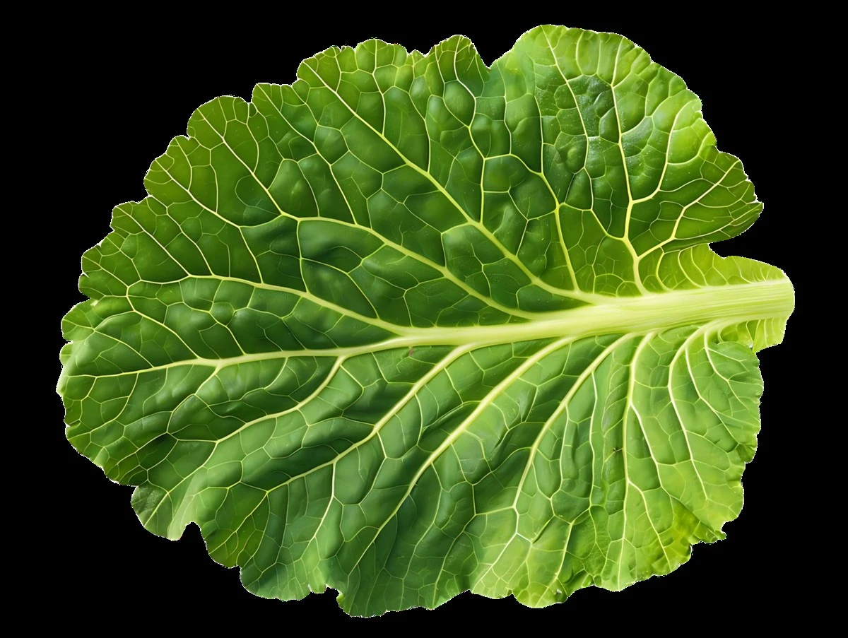 Zaskakujący trik z mrożonki: miękkie liście kapusty do gołąbków bez długiego gotowania - image 1