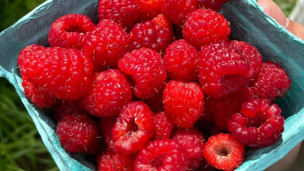 6 owoców, o których musisz pamiętać, jeśli dbasz o nerki