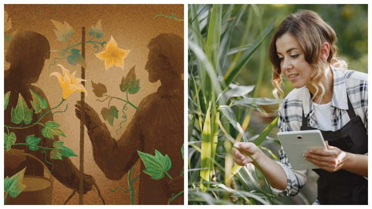 Rośliny wyczuwają Twój nastrój: Jak miłość do ogrodu wpływa na plony