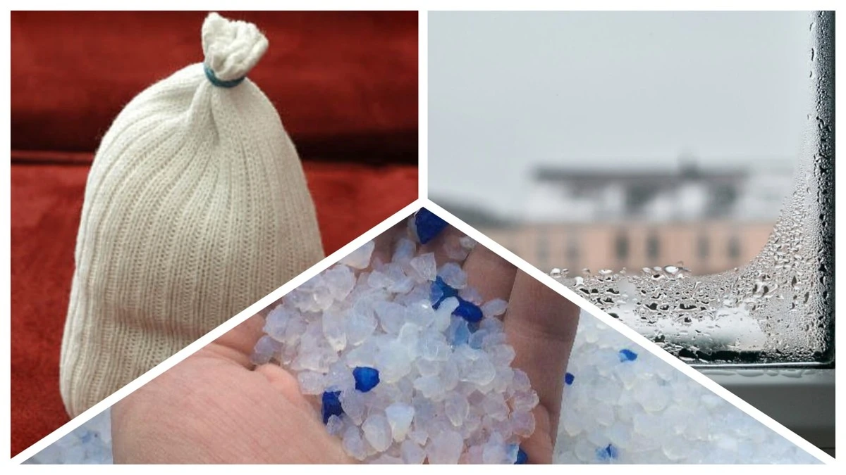 Po co gospodynie sypią żwirek dla kota na parapet? Wyjaśnienie wywołało sensację u sąsiadki