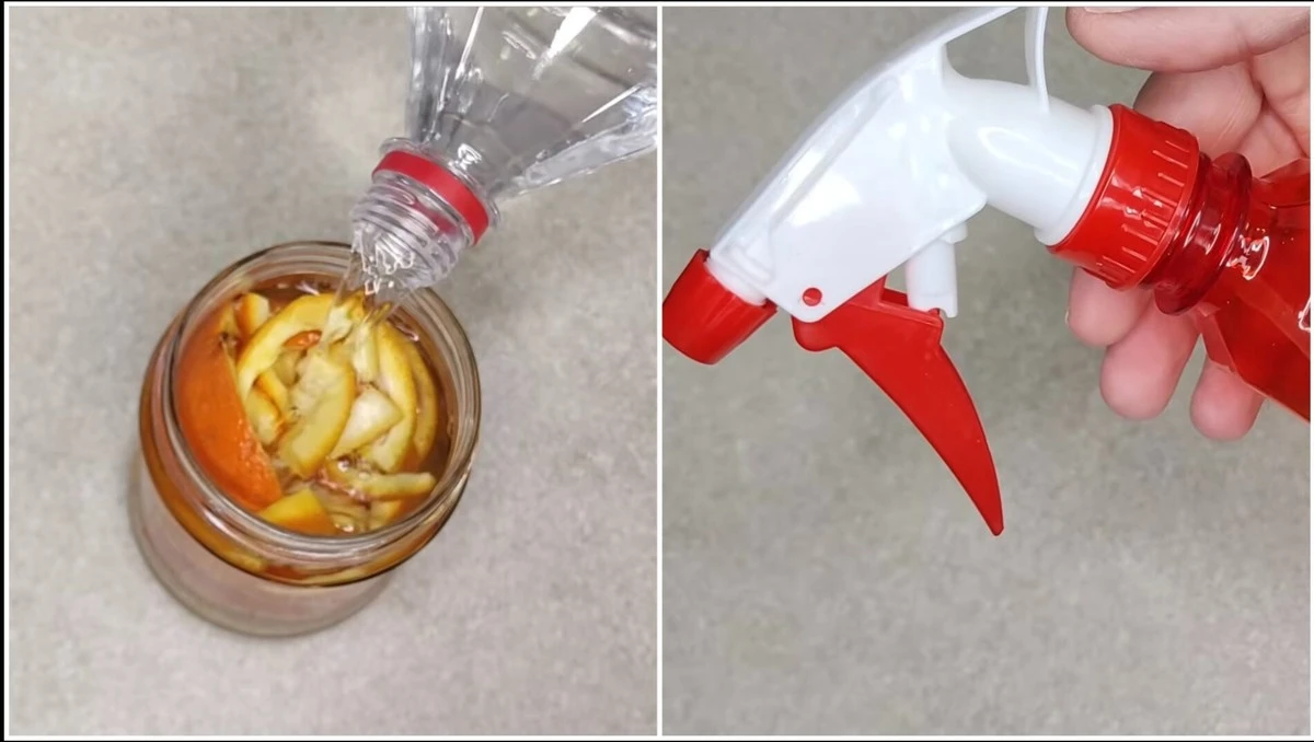 Zapomnij o chemii: jak wywar z 4 skórek mandarynek i octu zmienia sprzątanie