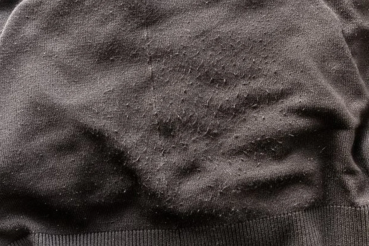 Jak dbać o swetry, by służyły dekadę? Ten trik przed praniem sprawi, że będą jak nowe. - image 1