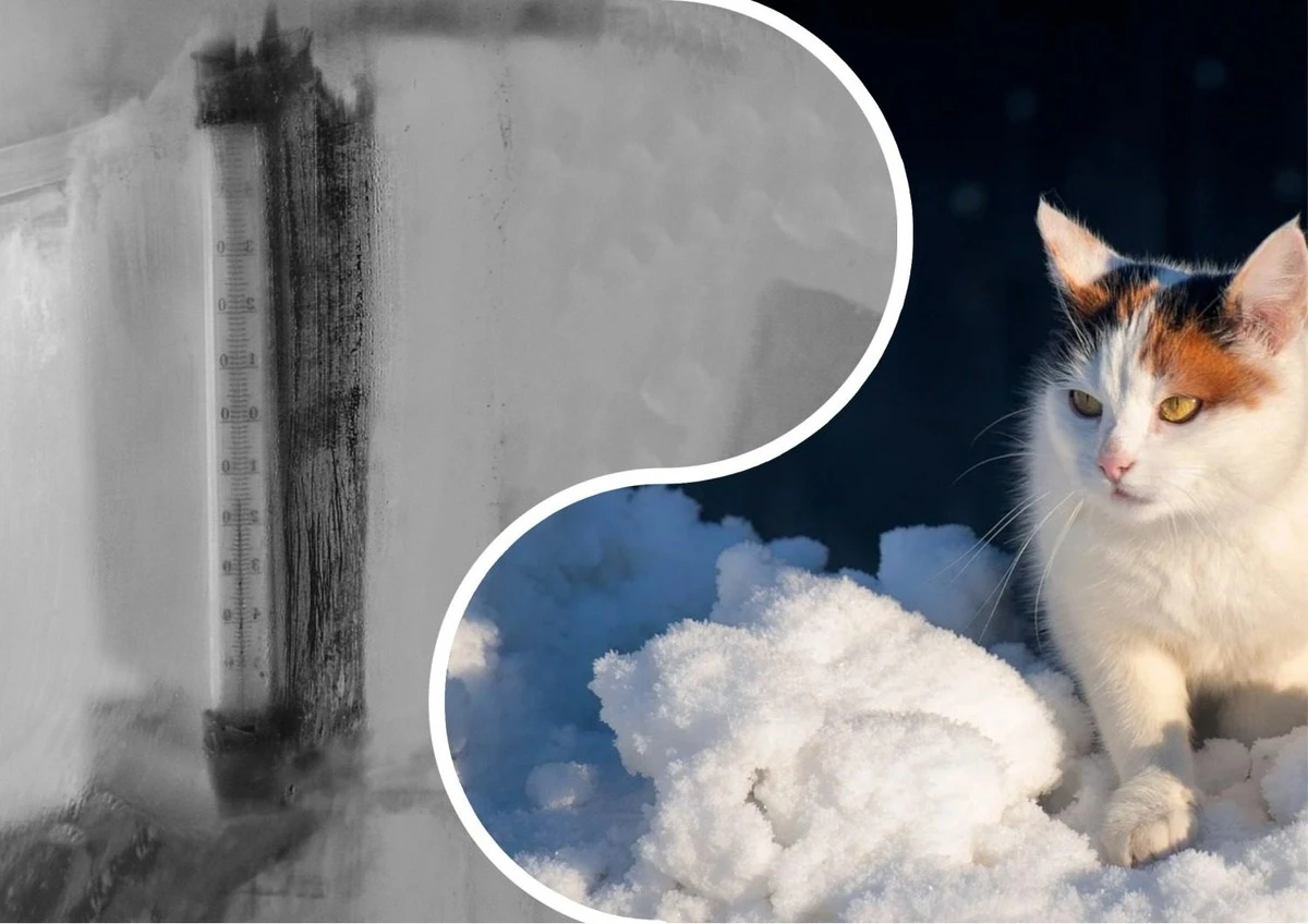 Antycyklon z mrozem do -27°C w Polsce. Jak długo potrwa i jak się przygotować?