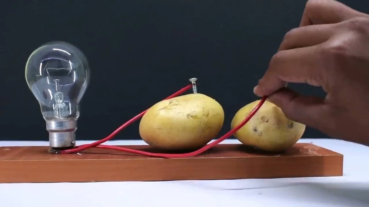 Zaskakujący eksperyment: ziemniak i folia zasilą lampę 220V bez prądu - image 1