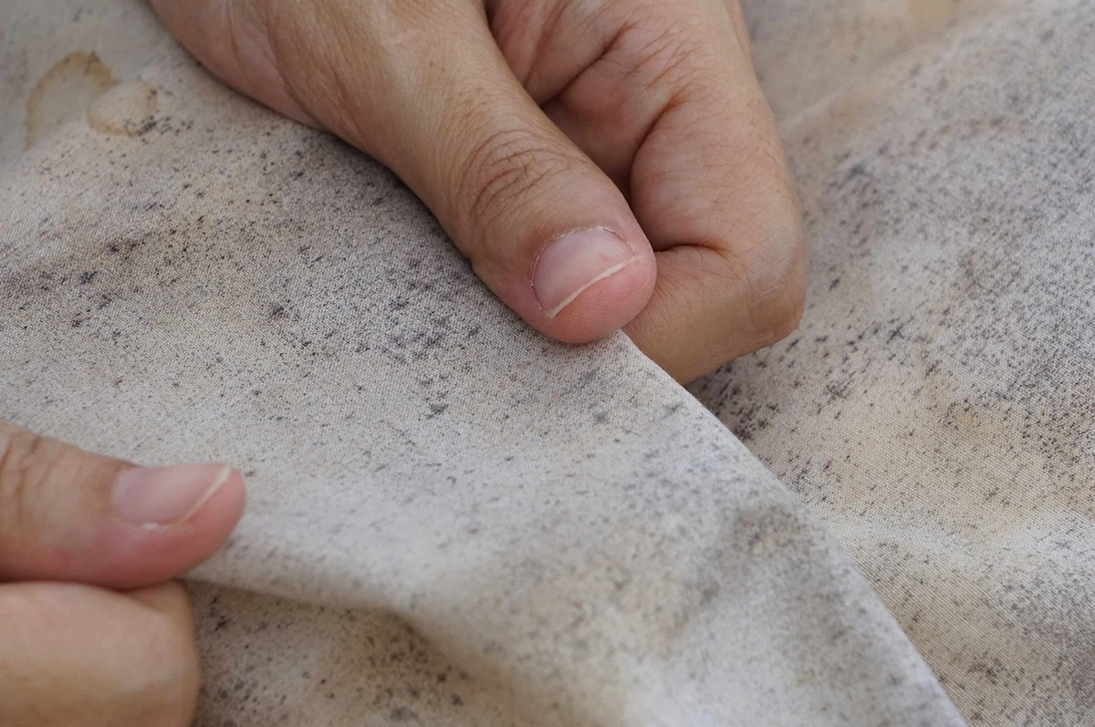 prostedomowespo-extra-1.webp Proste domowe sposoby na pleśń po zimie: Twoja łazienka odzyska blask - image 1