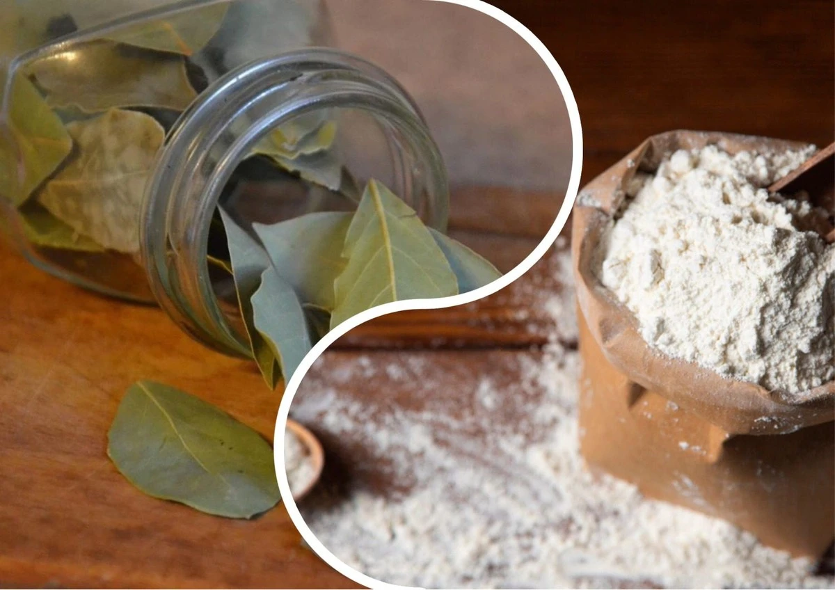 3 liście laurowe w słoiku z mąką. Ten "dziadkowy" trik działa bez pudła