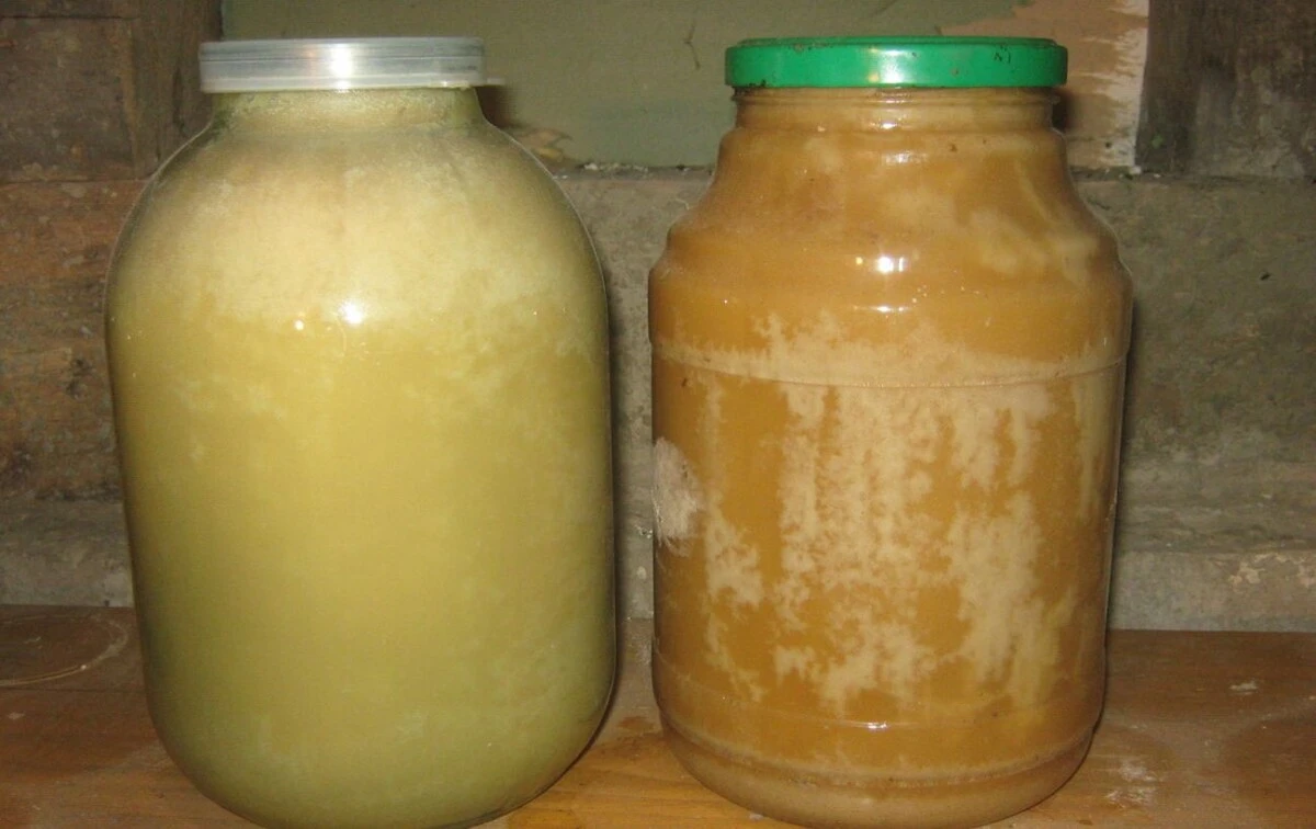 Nigdy nie kupuj tak miodu na targu: 3 pewne oznaki podróbki, które łatwo sprawdzić od ręki