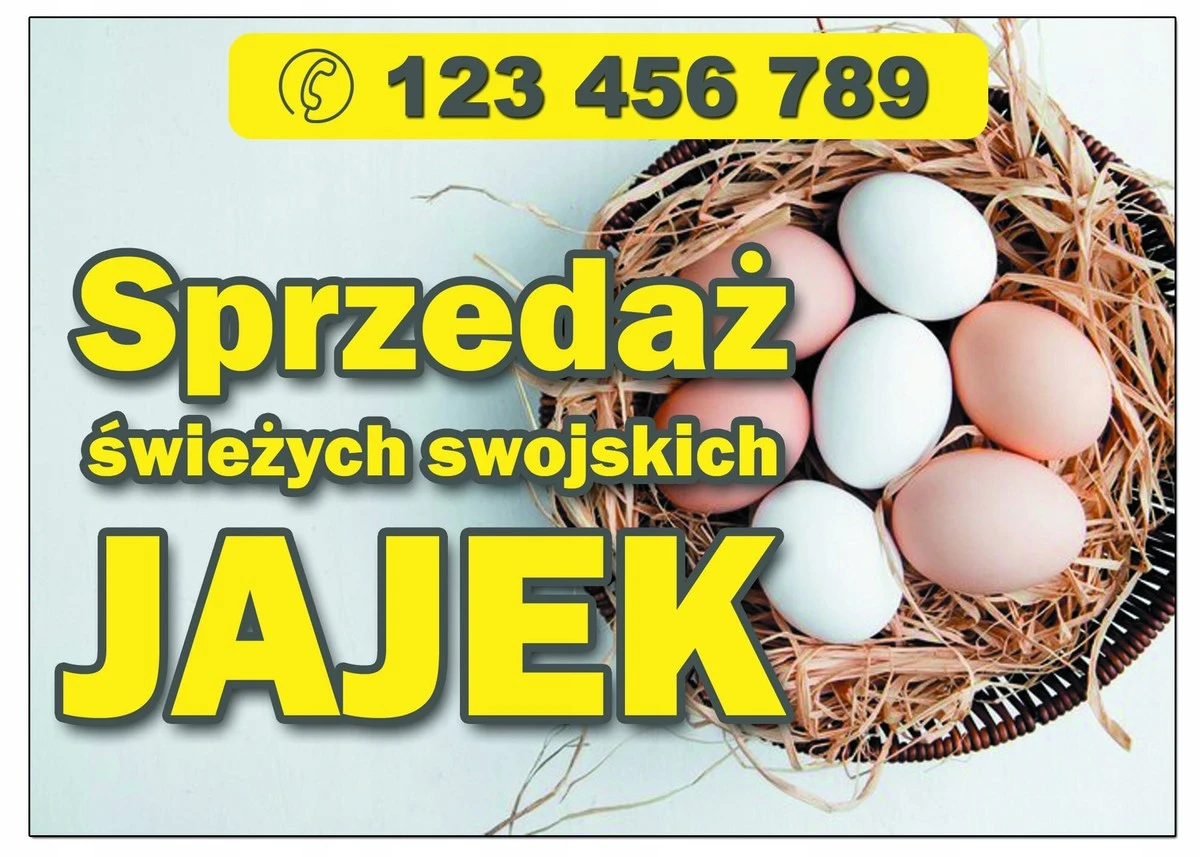 Białe czy brązowe jajka? Skórka to nie wszystko – co mówią eksperci o ich wartości i smaku - image 1