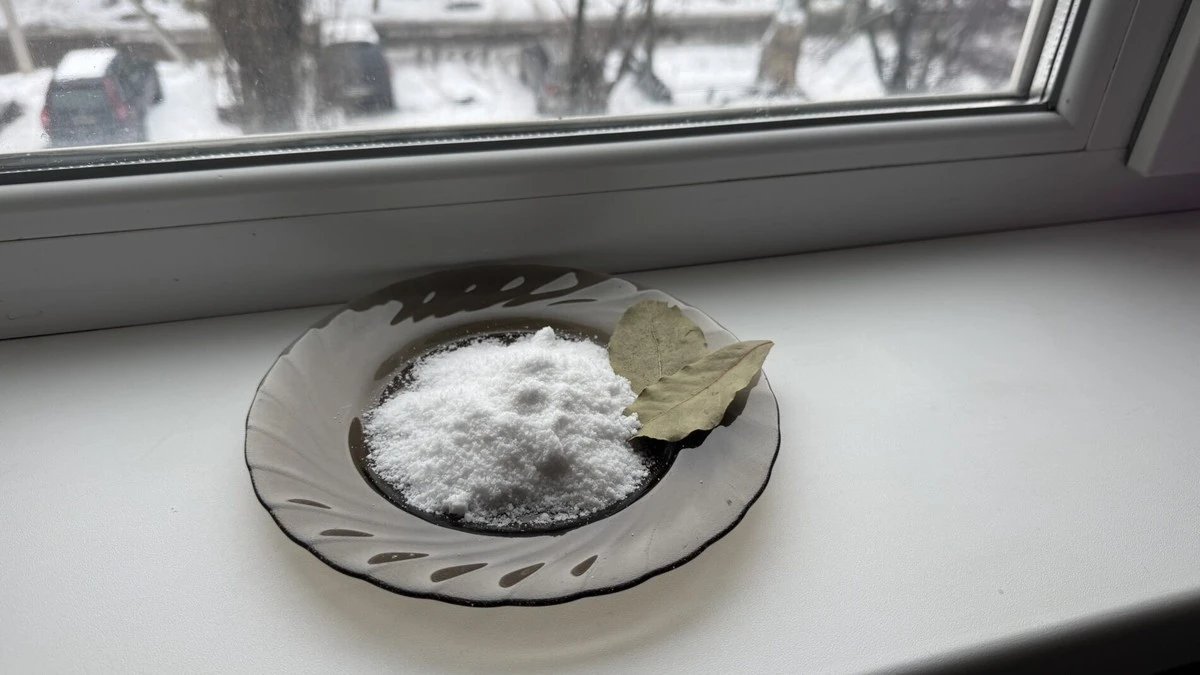 Sól i liść laurowy przy oknie? Ten prosty trik babci ma zaskakujące zastosowanie