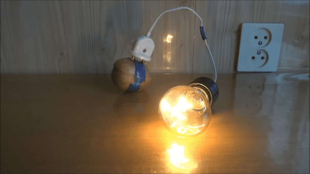 Zaskakujący eksperyment: ziemniak i folia zasilą lampę 220V bez prądu