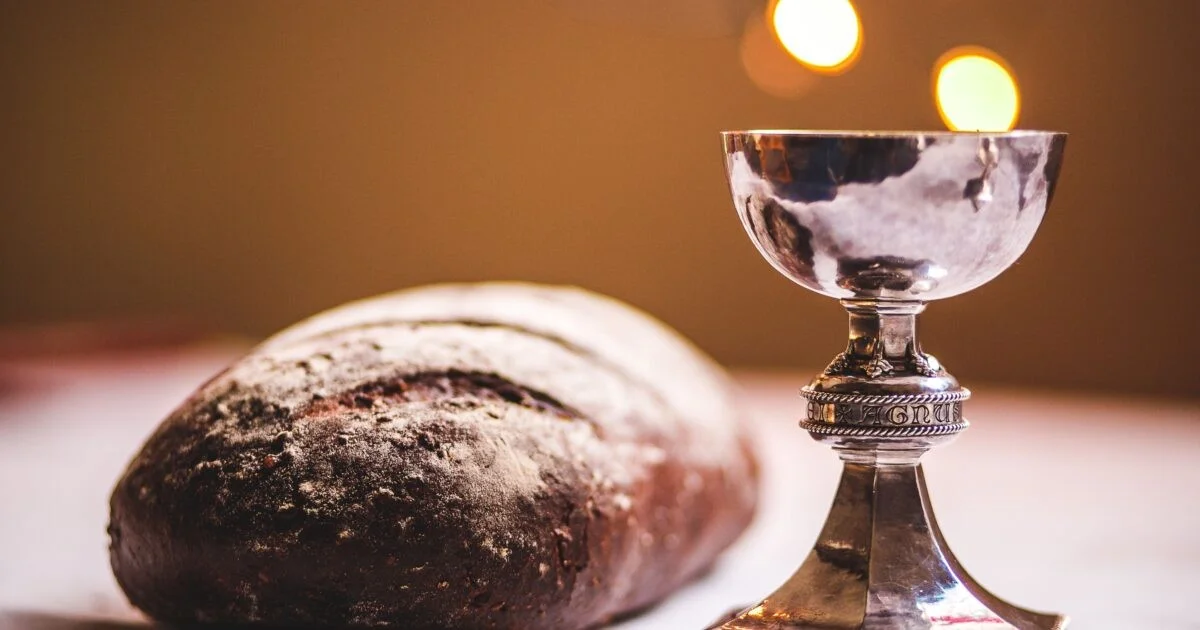 chlebwwinietenp-extra-1.webp Chleb w winie? Ten prosty trik zdradził mi sommelier, by uniknąć zgagi i ciężkości - image 1