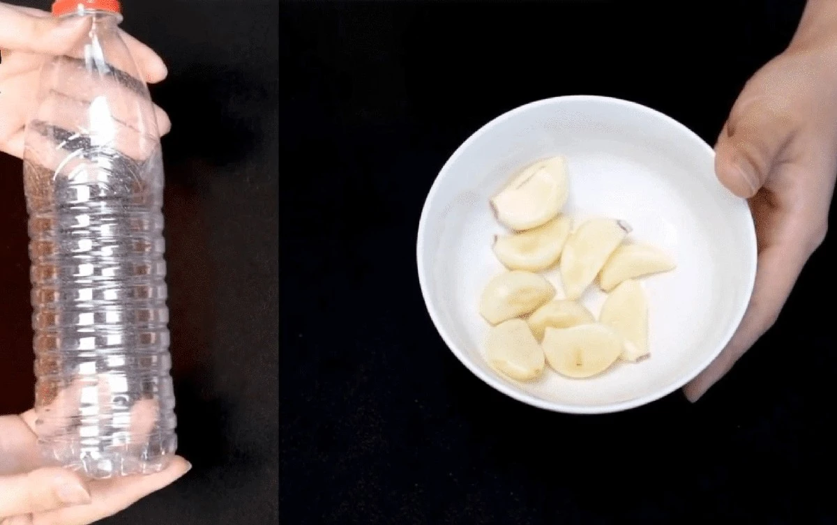 Zapomnij o tarkach i wyciskaczach: jak obrać i posiekać czosnek w minutę z pomocą plastikowej butelki