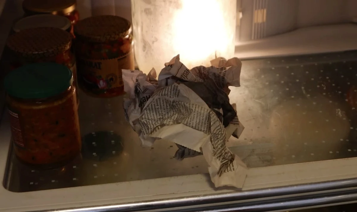 3 kartki gazety w lodówce – sekret mojej babci, który działa do dziś