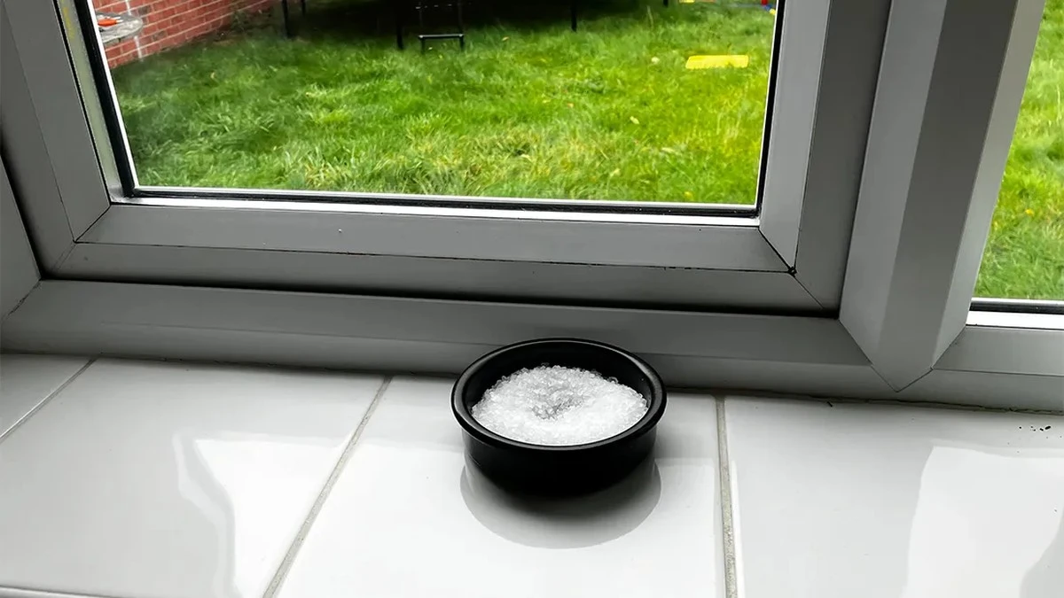 Sól na parapecie: domowy trik na pozbycie się wilgoci i pleśni - image 1
