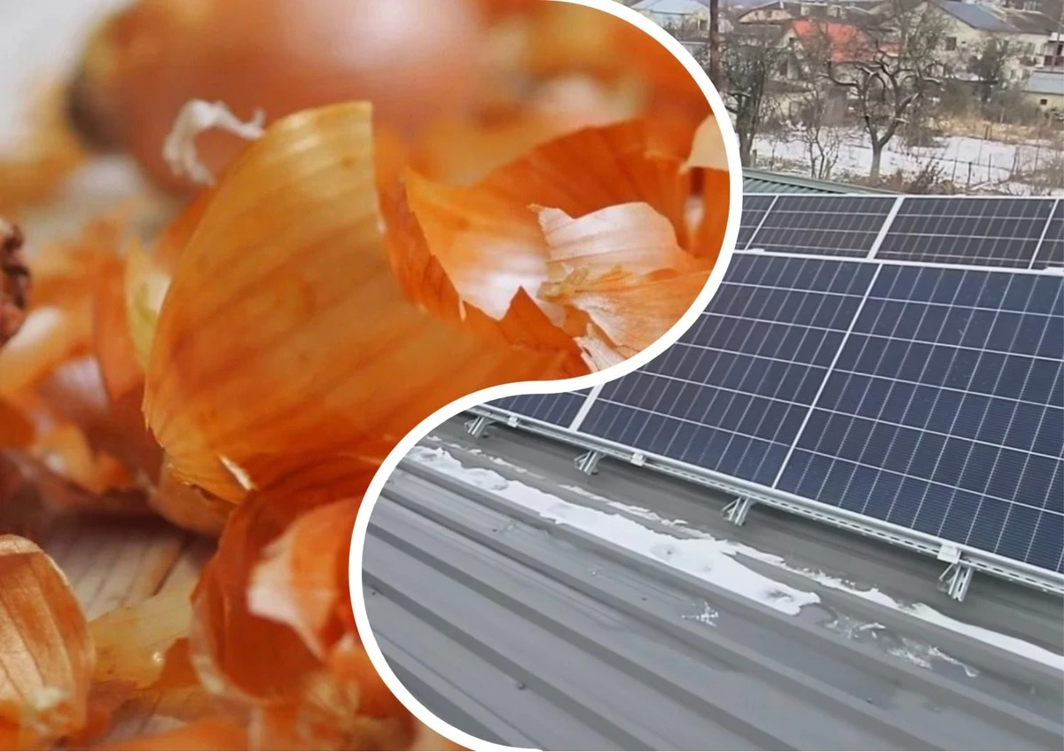 Cebula to Twój sprzymierzeniec dla paneli słonecznych. Oto praktyczny trik.