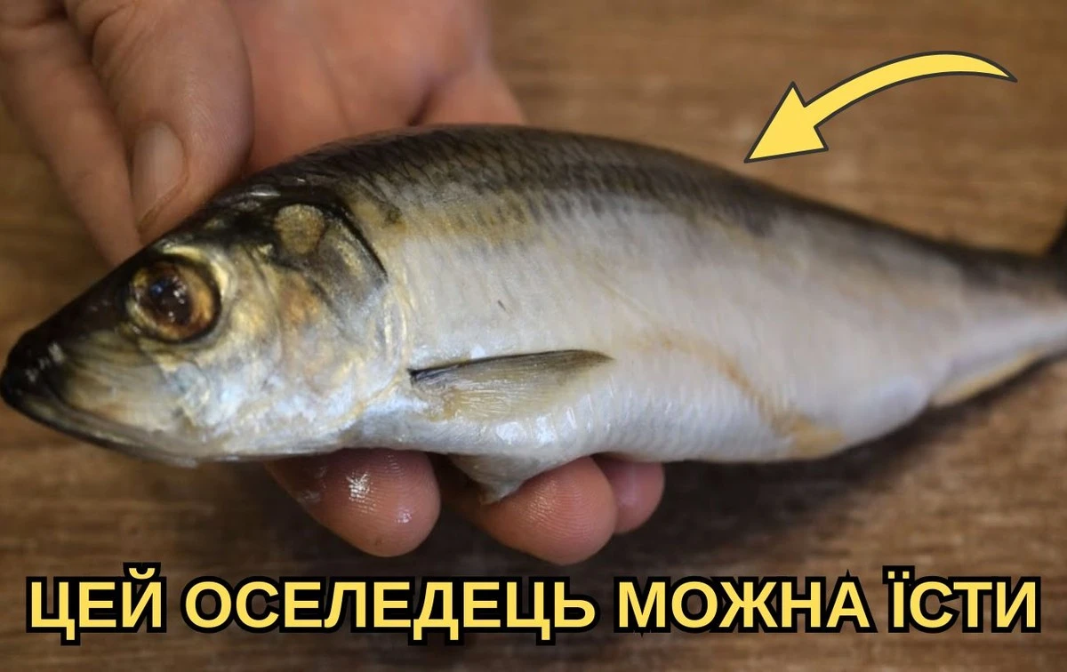 Oczy śledzia: Szybki sposób sprzedawców na ukrycie prawdy