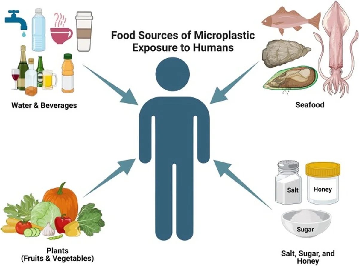 niewiedzacotymz-extra-1.webp Nie wiedząc o tym, zjadasz mikroplastik. Te 3 popularne produkty spożywcze mogą być winne. - image 1