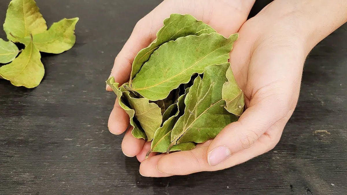 Cztery liście laurowe i soda: sekret prania jak z salonu, którego nie znają inni