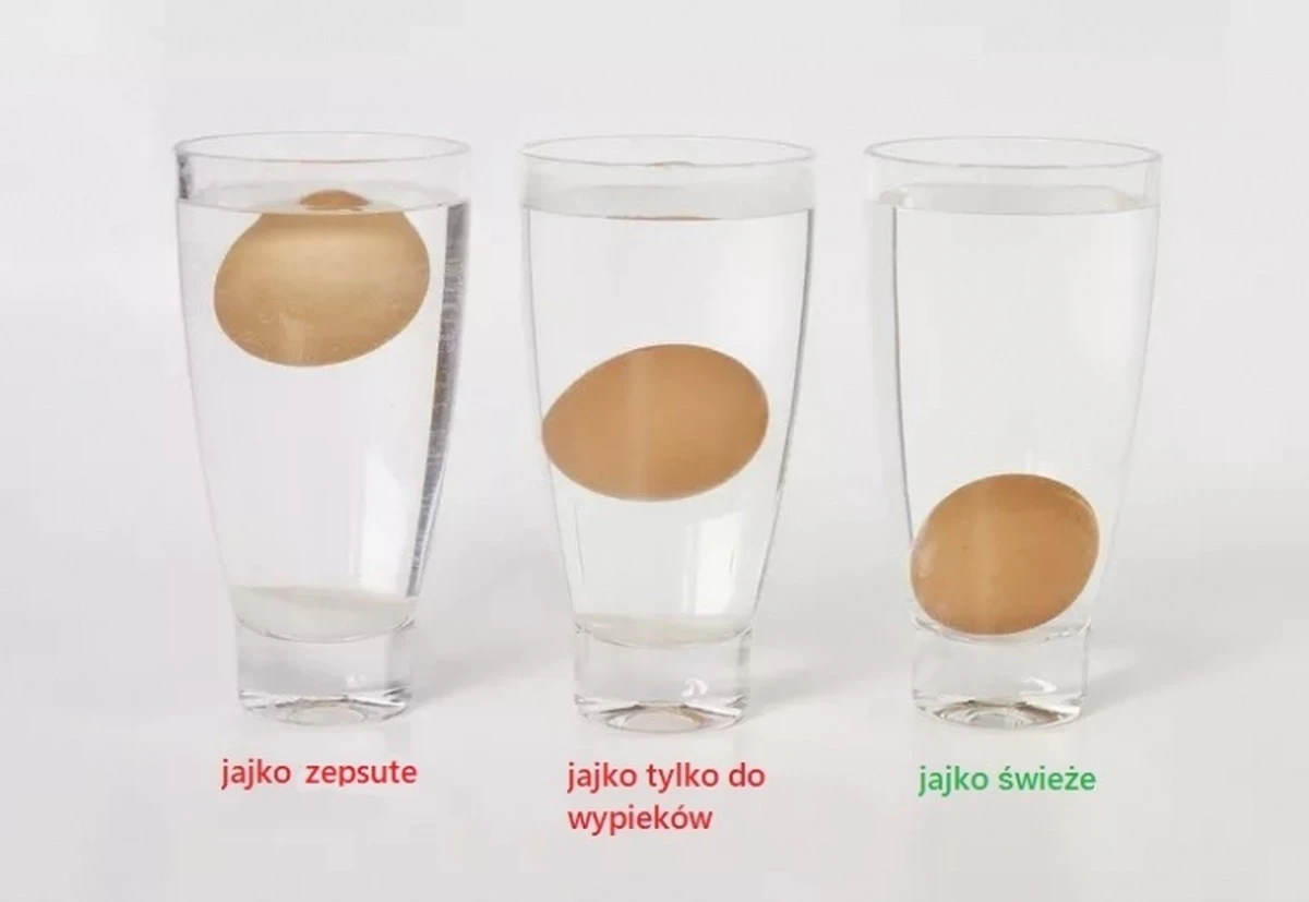 Mętne białko jaja to znak świeżości. Jak sprawdzić, czy nie przepłacasz za 