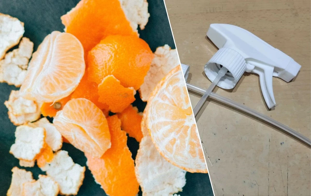 Skórki cytrusów w szafie? Nie wyrzucisz nic więcej, gdy zobaczysz ten trik