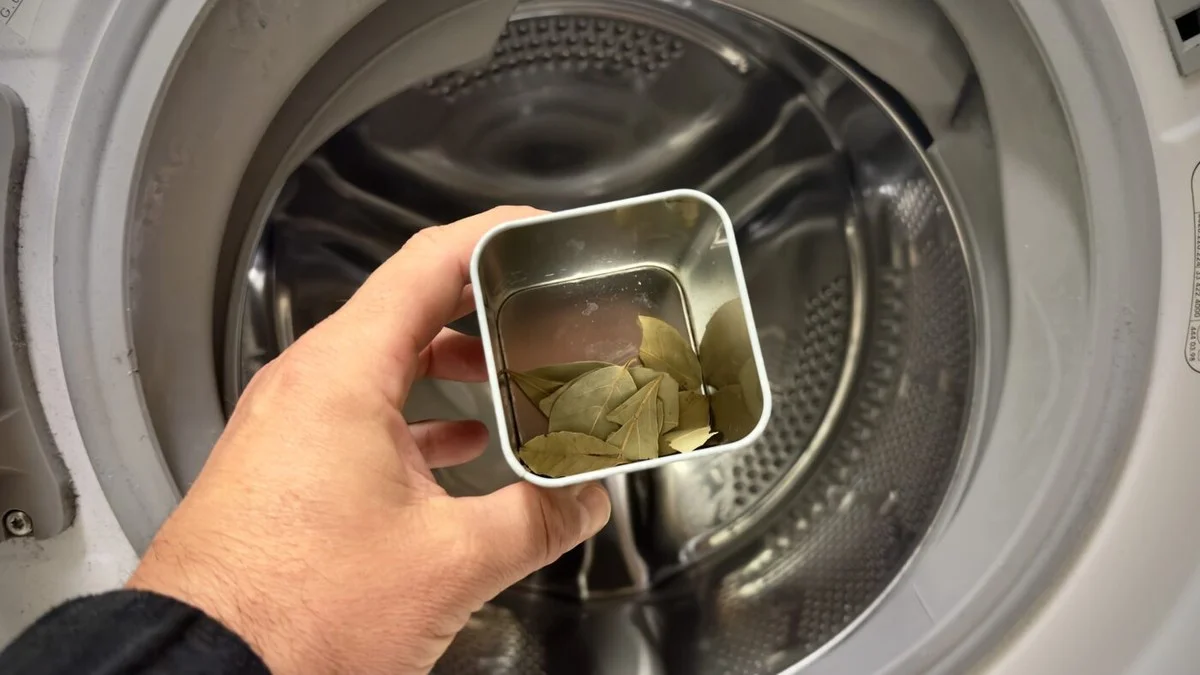 Cztery liście laurowe i soda: sekret prania jak z salonu, którego nie znają inni - image 1