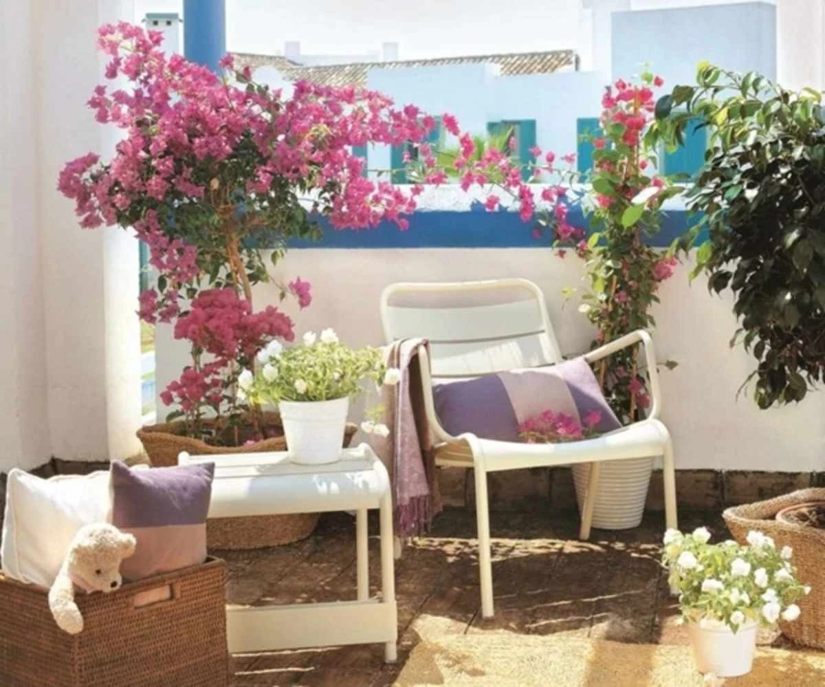 Jak sprawić, by Santa Rita eksplodowała kolorem? Sekretna metoda ekspertów od lutego 2026