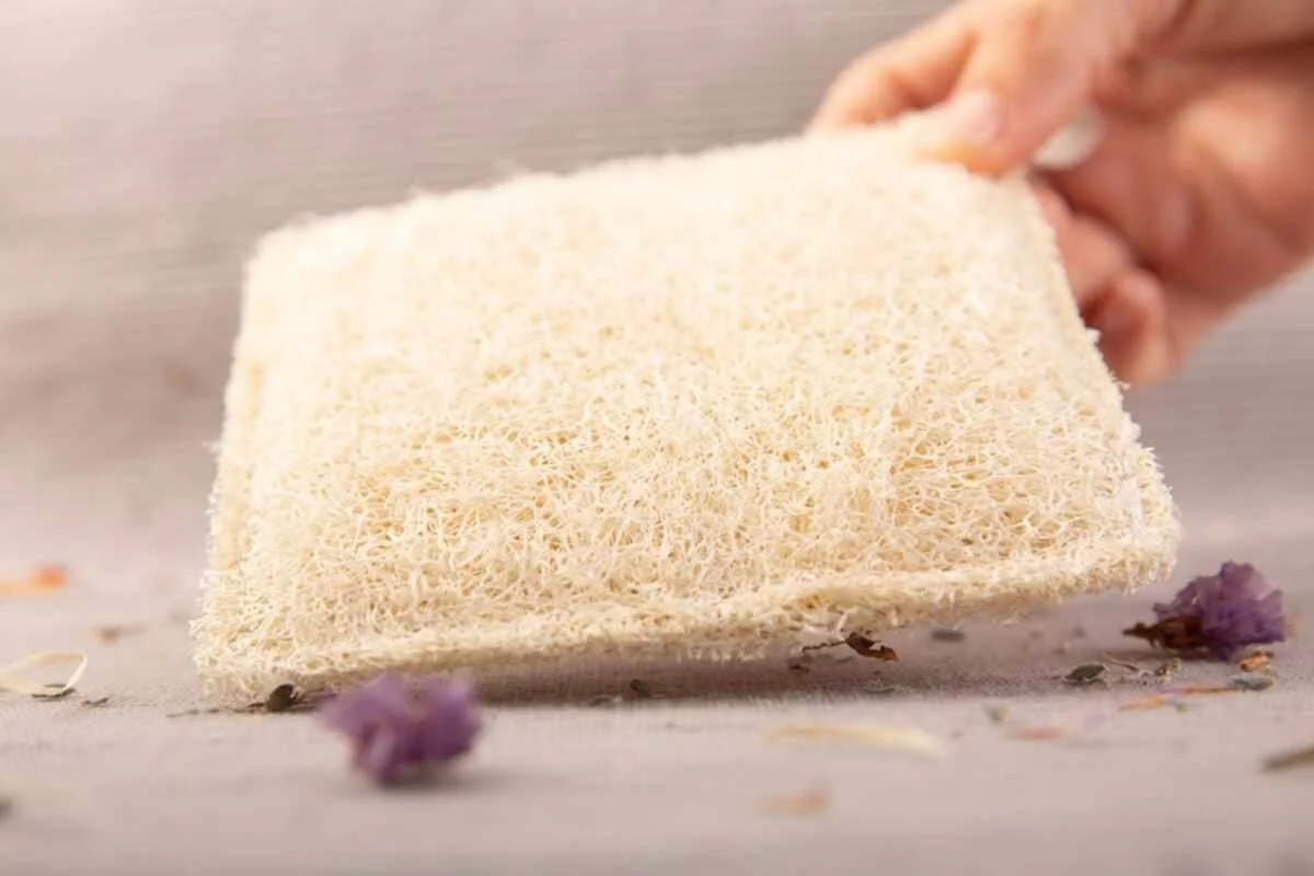 Luffa: Rewolucyjna Gąbka Roślinna, Która Zmieści Się w Twojej Łazience