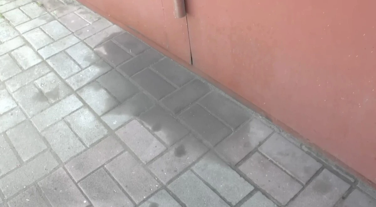 Sąsiad pokazał, jak usunąć plamy po paliwie z podjazdu w 15 minut