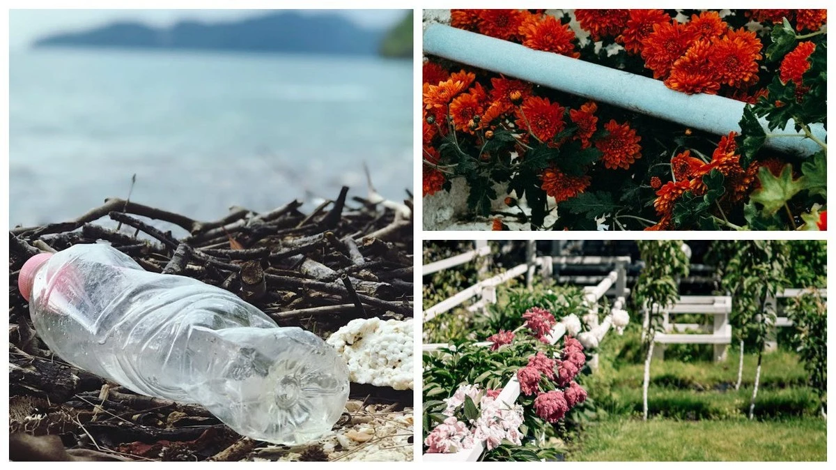 Pokryj swój płot kwitnącym dywanem: 1 trik z plastikową butelką, który odmieni Twój ogród