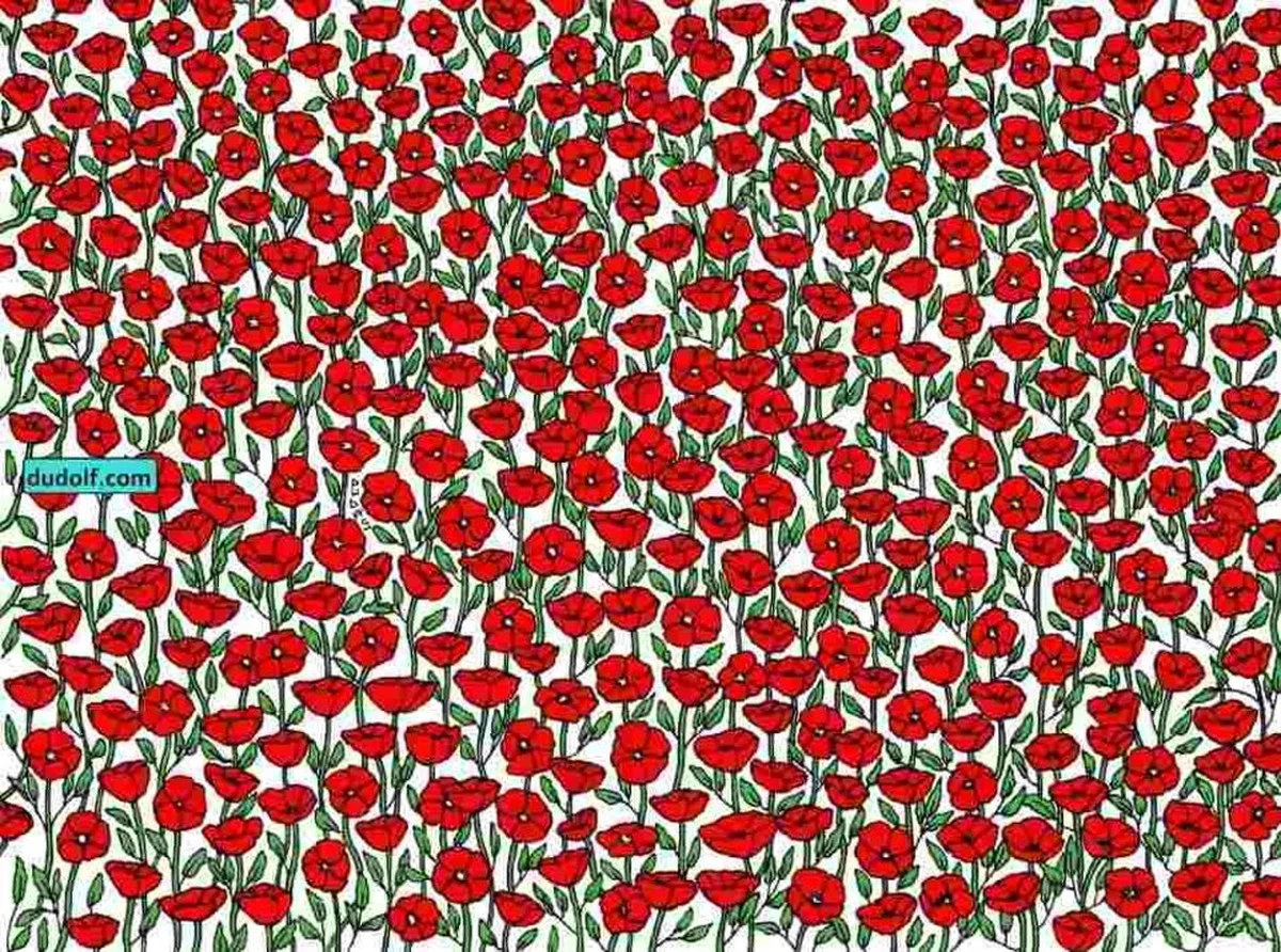 Zagadka, z którą walczy połowa internetu: potrafisz ją rozwiązać?