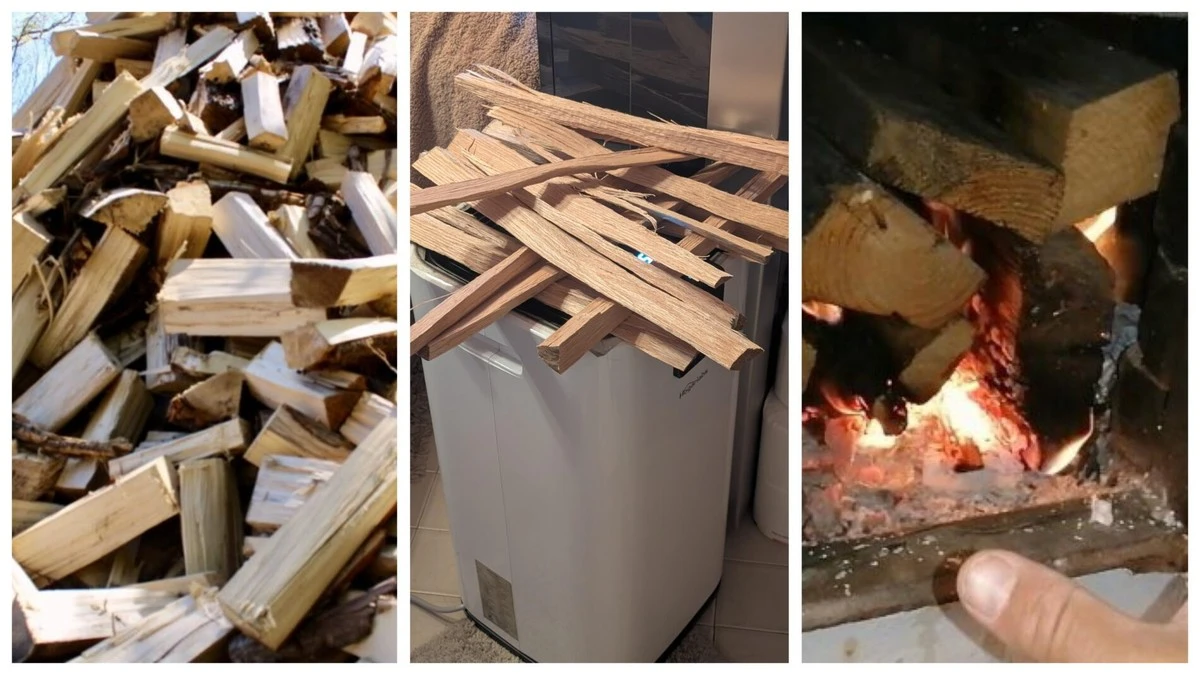 Poznaj sekret sąsiada: jak suszyć drewno opałowe, by paliło się dłużej i dawało więcej ciepła